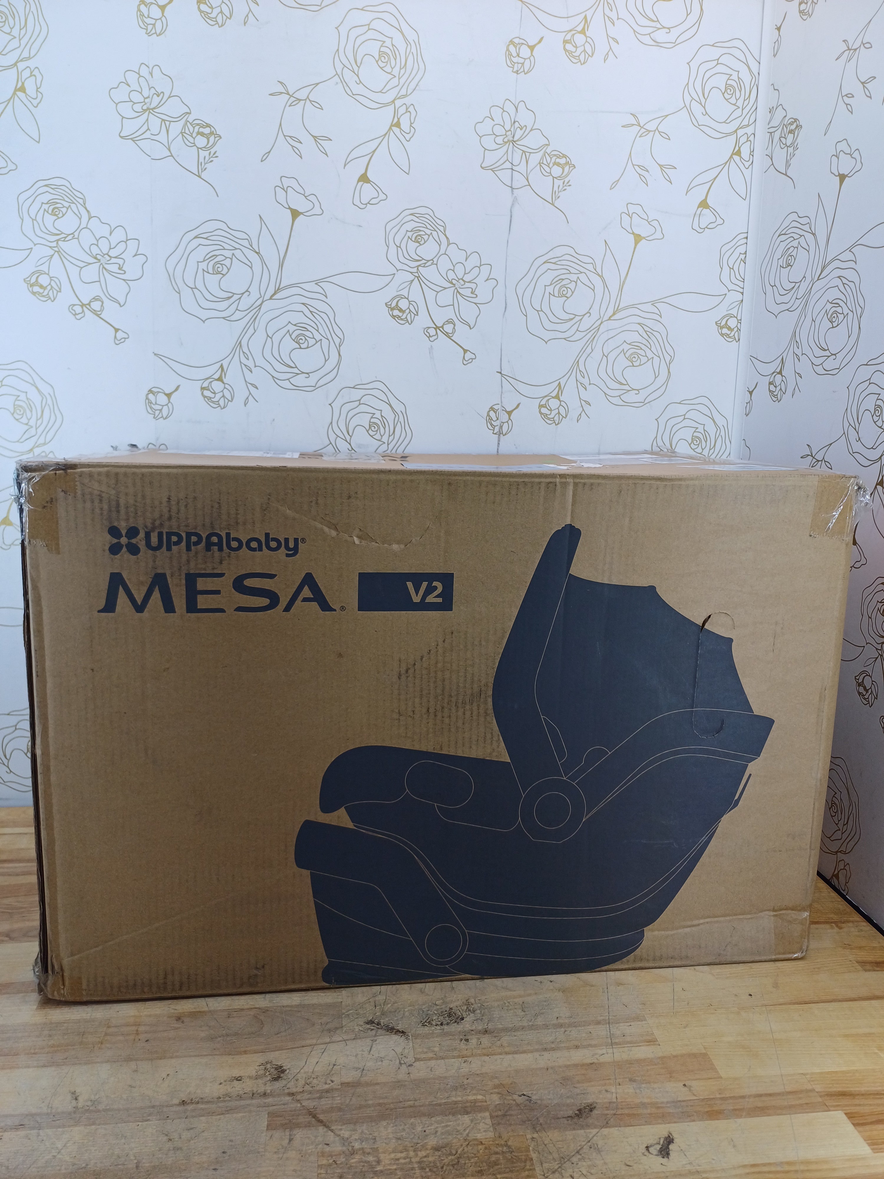 UPPAbaby Mesa V2 Infant Car Seat/Easy