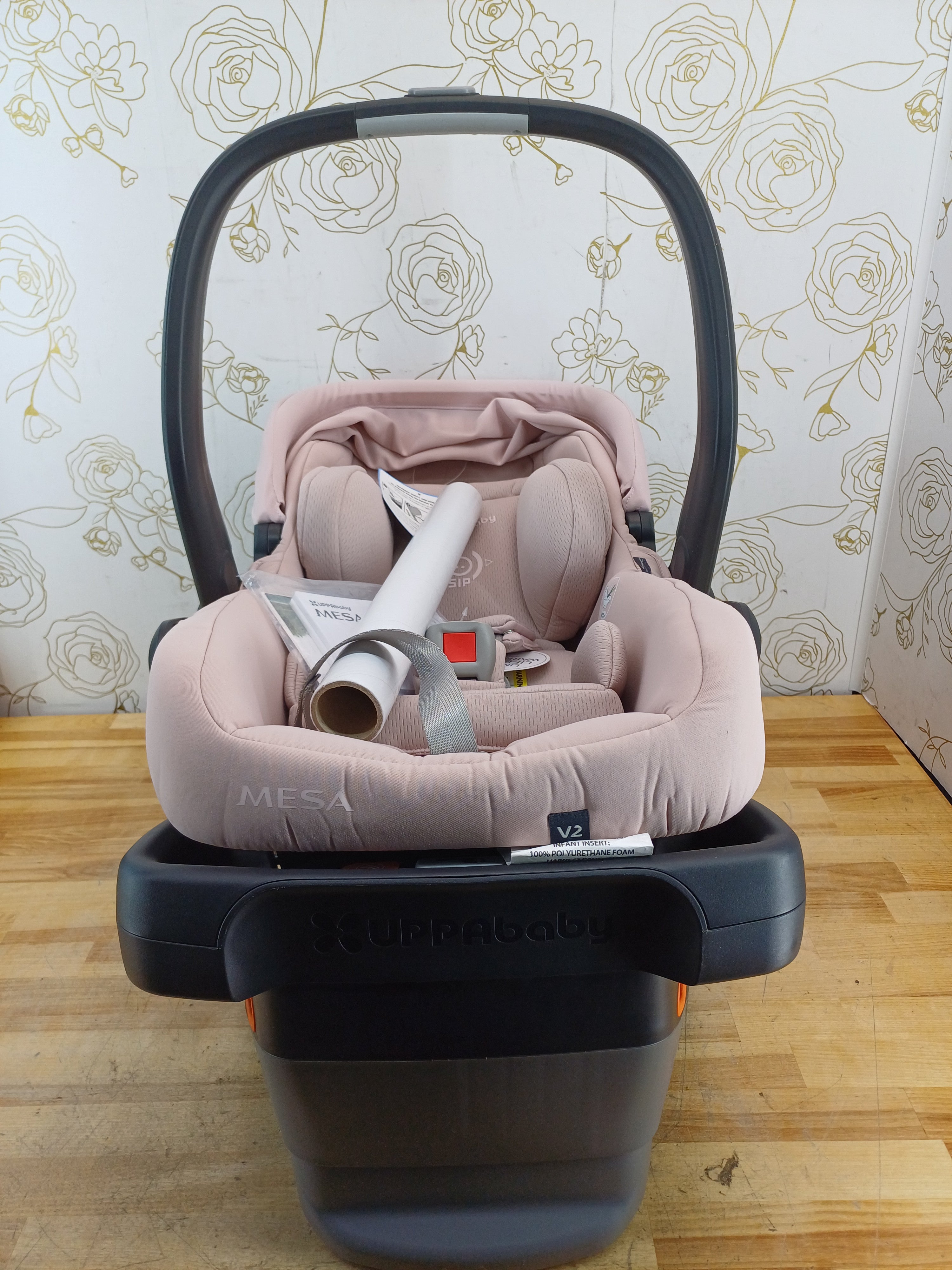 UPPAbaby Mesa V2 Infant Car Seat/Easy